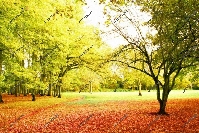 фотопечать