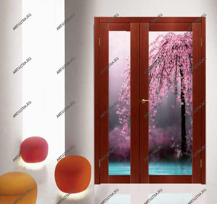 двери с фотопечатью в зале